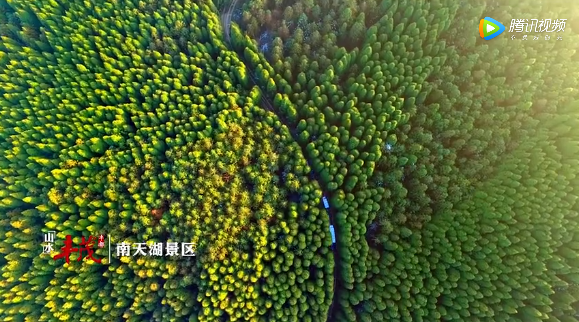 避暑|不远走！重庆主城周边这8个避暑胜地，周末约起~