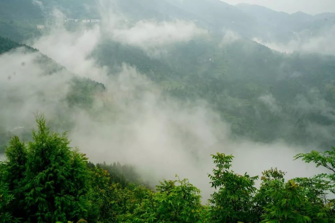 避暑|不远走！重庆主城周边这8个避暑胜地，周末约起~