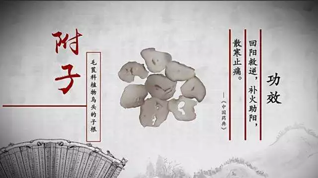 中成药界的“纯爷们”——附子理中丸，源自仲景“理中汤”，专治阳气不足！