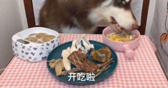 “大胃王”转做宠物吃播短视频：继续吃播带货？-锋巢网
