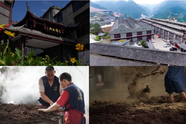 金樽酒厂致力于酿每个人都喝得起喝得到的真酱酒