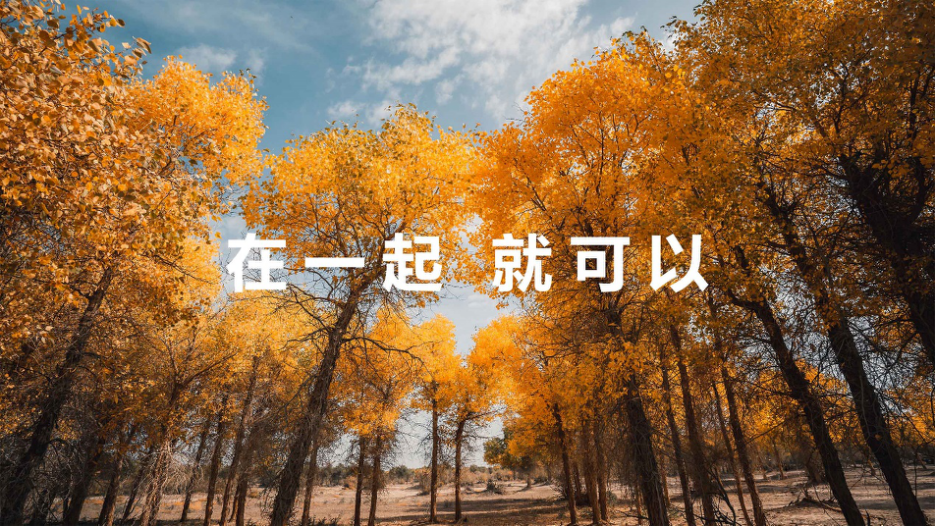 华为朱平：大干100天，服务升级迎接全场景时代-锋巢网