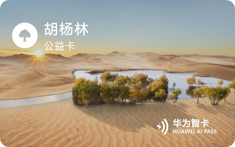 华为终端云服务升级，Mate 40系列带来数字生活新体验-锋巢网