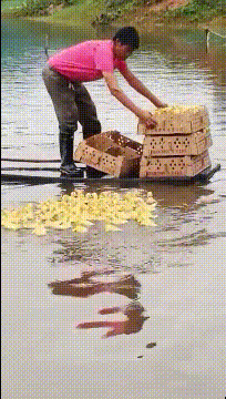 搞笑动图图片：这样安逸的日子，真的是我梦寐以求的