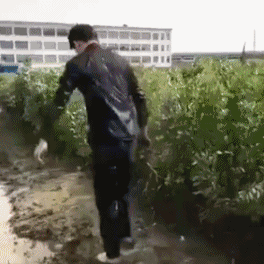 接受命运吧，小伙子