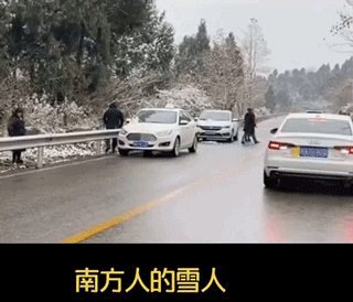 太沙雕了的gif图片：南方雪人靠抢，大意失雪人！