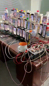 精品gif：原来乌龟是这样打架的啊！涨知识了！