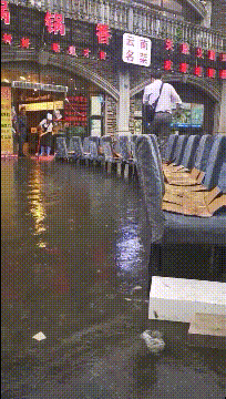 精品gif：原来乌龟是这样打架的啊！涨知识了！