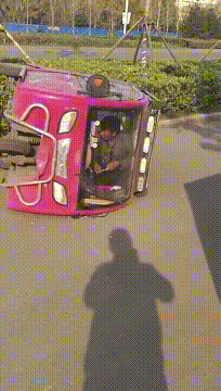 精品gif：原来乌龟是这样打架的啊！涨知识了！