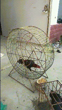 搞笑动图：熊孩子这眼神，长大了有前途