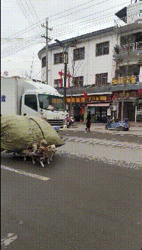 搞笑GIF图片：兄弟这天霜拳练的不错呀，一拳居然能打出冰来