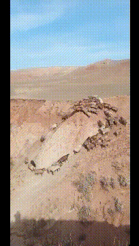 搞笑GIF图片：兄弟这天霜拳练的不错呀，一拳居然能打出冰来