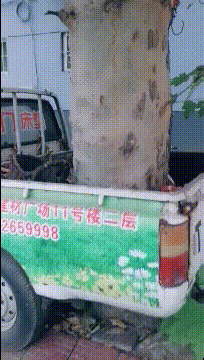 搞笑GIF图片：兄弟这天霜拳练的不错呀，一拳居然能打出冰来