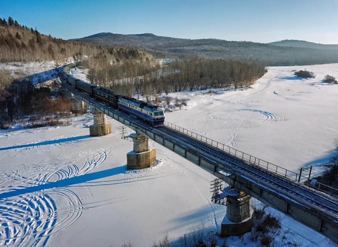 雪国列车 走红全网 穿过雪原去中国北极 偶遇极光喂驯鹿 简直不要太浪漫