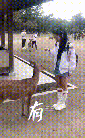 搞笑动态图：活了三十年，今天终于被猪拱了