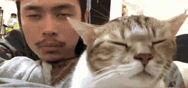 搞笑动态图：活了三十年，今天终于被猪拱了