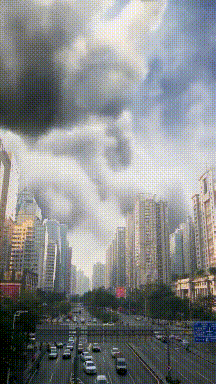 搞笑动态图：活了三十年，今天终于被猪拱了