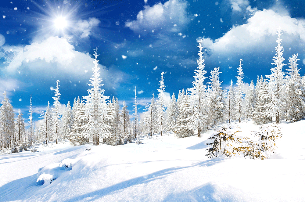 下雪飘雪的3张唯美高清gif大图片 经典gif 很牛帮