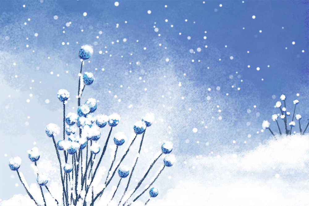 下雪飘雪的3张唯美高清gif大图片 经典gif 很牛帮