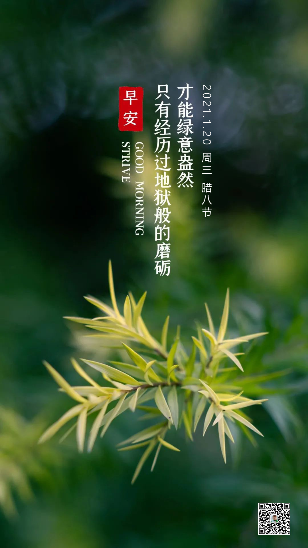 微信分享最正能量阳光的早安心语图片，热忱累积、努力好当下