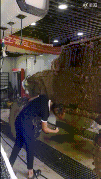 GIF：表白新技能，赶紧拿去表白吧！