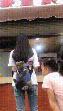 有意思的动态图：据说这是一种职业的耳朵，谁知道是什么职业