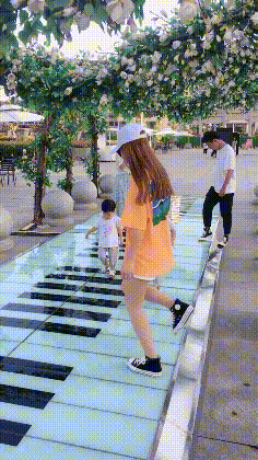 爆笑GIF图片：这货终于把主人惹怒了，被上大刑了