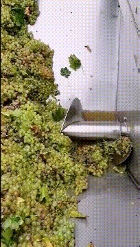 爆笑GIF图片：我家的电线天天被当成秋千！