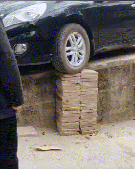 爆笑GIF图片：我家的电线天天被当成秋千！