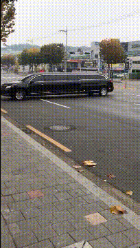 爆笑GIF图片：我家的电线天天被当成秋千！