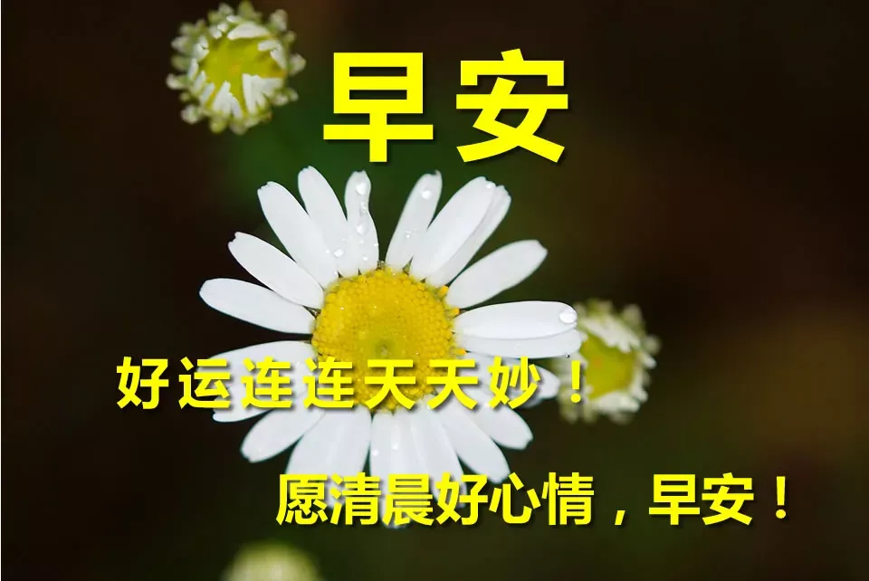 周一早上好问候语配表情图片