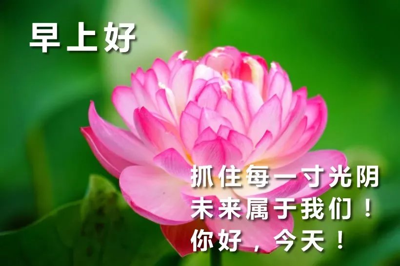 周一早上好问候语配表情图片