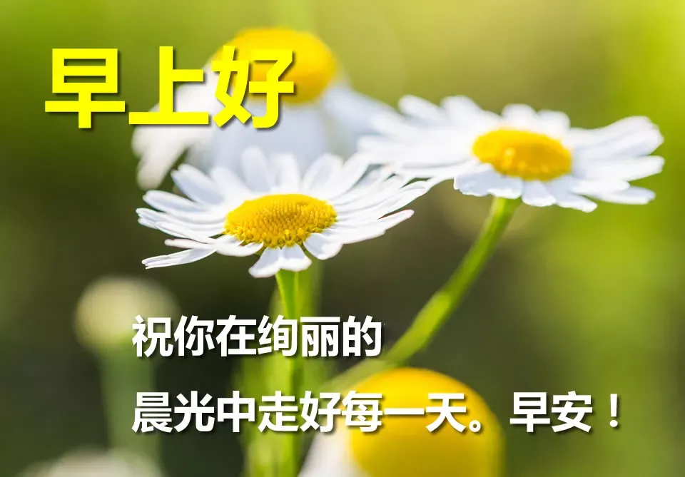 周一早上好问候语配表情图片