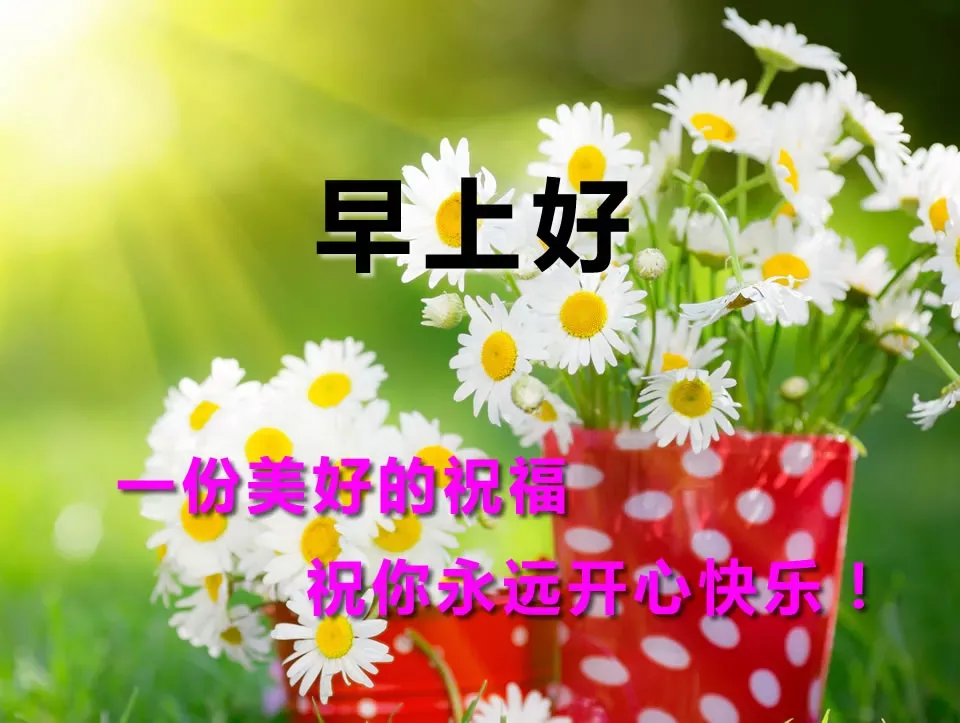 周一早上好问候语配表情图片