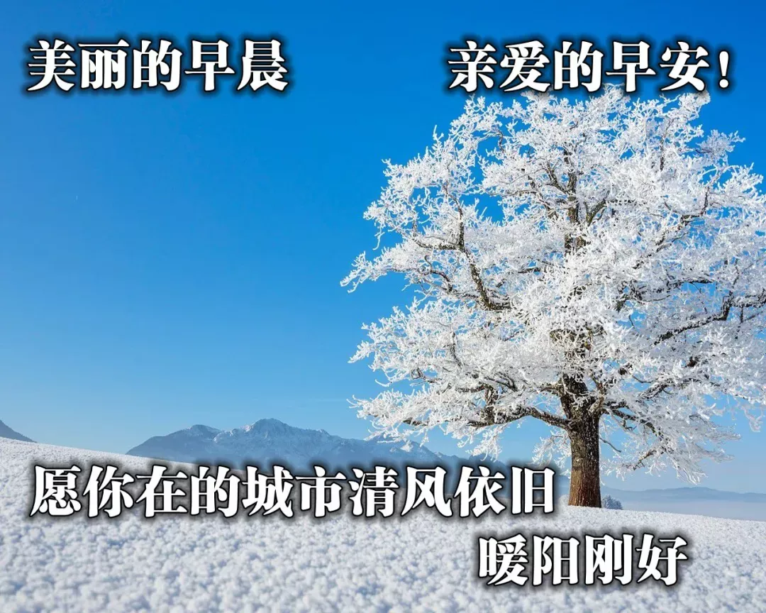 周一早上好问候语配表情图片