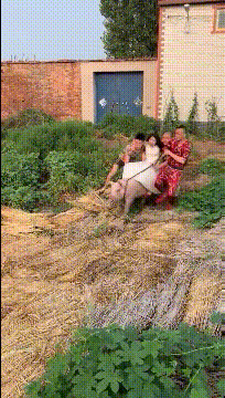 有趣的GIF图片：这几位妹子不会是四胞胎吧！