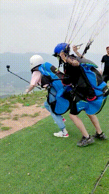 爆笑GIF动图：看着这个机械在工作，我笑了一整天