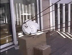 爆笑GIF：只想知道是新郎还是伴郎！
