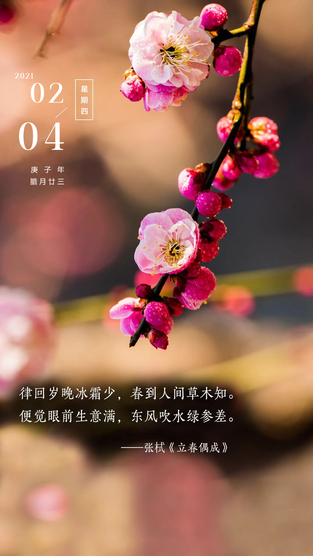 2月4日早上好正能量激励语录