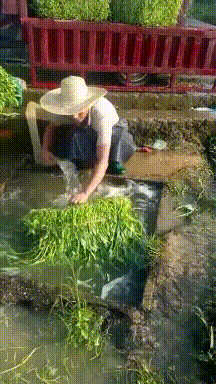 搞笑动图GIF:大哥吃不吃啊,要是吃的话,给个痛快!