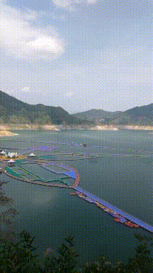 爆笑动态图片：现在的采耳都这么高级了吗？