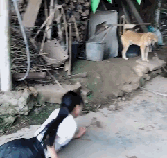 爆笑动图GIF:新一代鸭王出场,必定四射光芒!