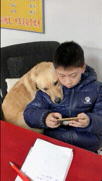 爆笑GIF动图：这打饭阿姨是亲妈吧？？
