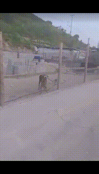 搞笑动图GIF：好怕她劈裂开！