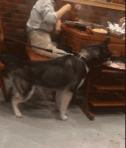 搞笑动图GIF：好怕她劈裂开！
