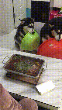 搞笑的动图图片：这孩子，还没过年呢？