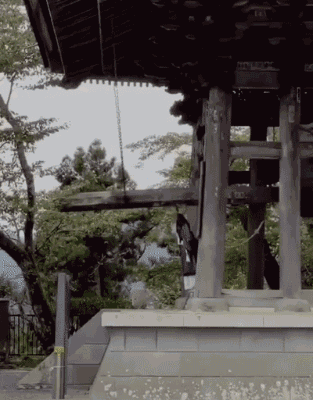 搞笑GIF：小样，你就从了我吧！