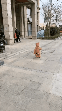 搞笑GIF：小样，你就从了我吧！