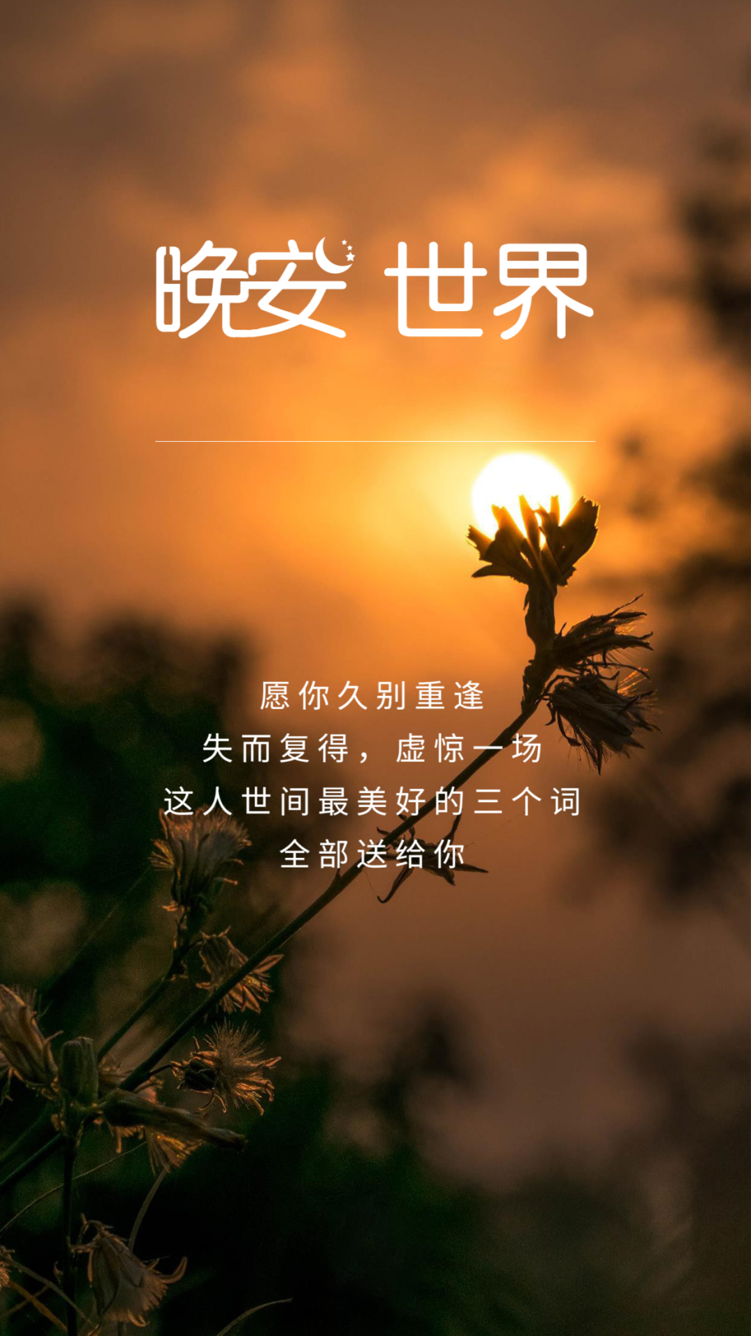 精彩的说说句子，去做自己喜欢的事，因为不快乐才是最累的