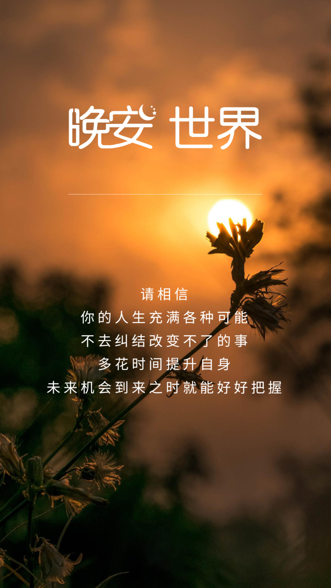 适合睡前发朋友圈的晚安心语文案，透心的经典说说，甚好！